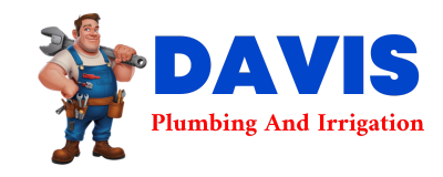 Trusted plumber in DEMA